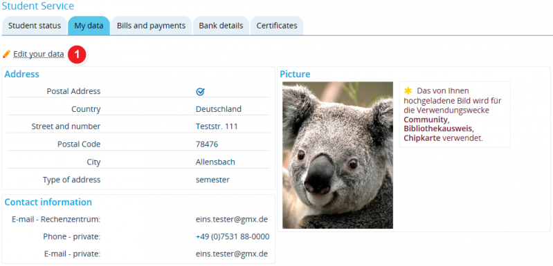 Datei:ZEuS Stud SService Daten en.png